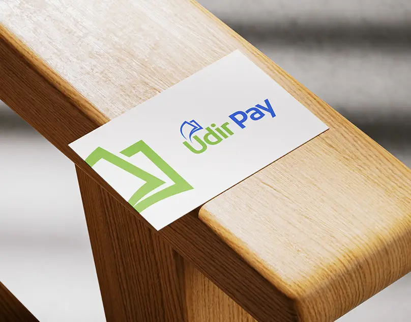 udir-pay-brand-identity